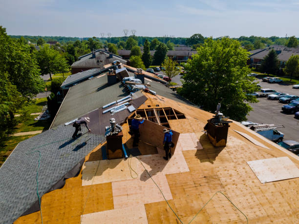 Best Storm Damage Roof Repair  in Central High, OK